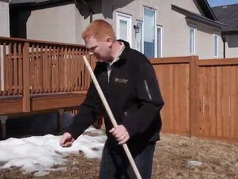 Lawn Damage from Voles