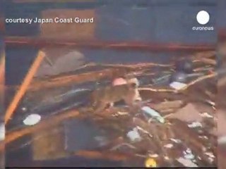 Japonya'da tsunami mağduru köpek sahibine kavuştu