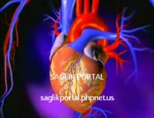 SağlıkPortal Kalp Anatomisi Animasyon