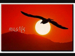 Amar Ezzahi - Sir ya Naker L'ahssen