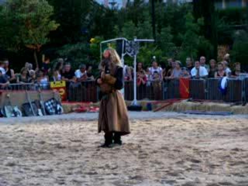 29 présentation des faucons