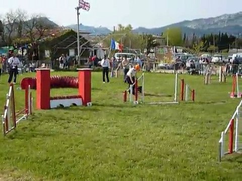 Asian - Jumping Le Pradet 03.04.11