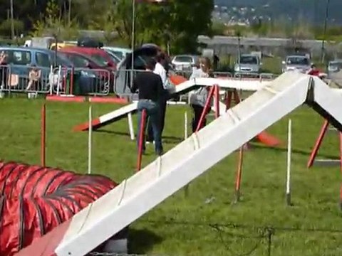 Bambou - GPF Le Pradet 03.04.11