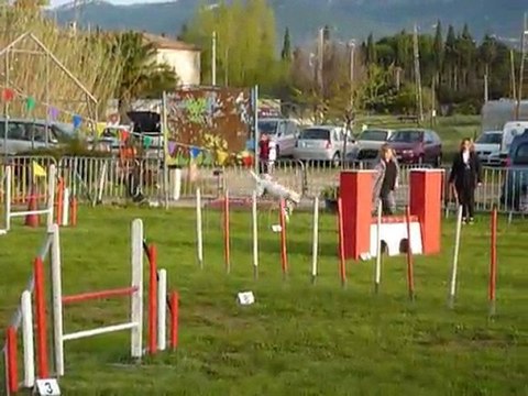 Daisy - Open Le Pradet 03.04.11