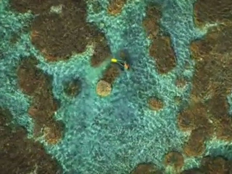 Die Insel La Réunion im deutschen Fernsehen