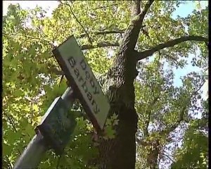 Pomniki przyrody w toruniu