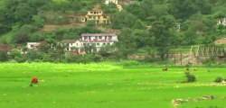 PAHEL: An initiative on Fodder and Livestock Development in Uttarakhand