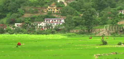 PAHEL: An initiative on Fodder and Livestock Development in Uttarakhand