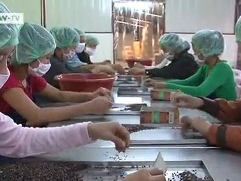 Fair Trade: Purple Rice from Laos | Global 3000