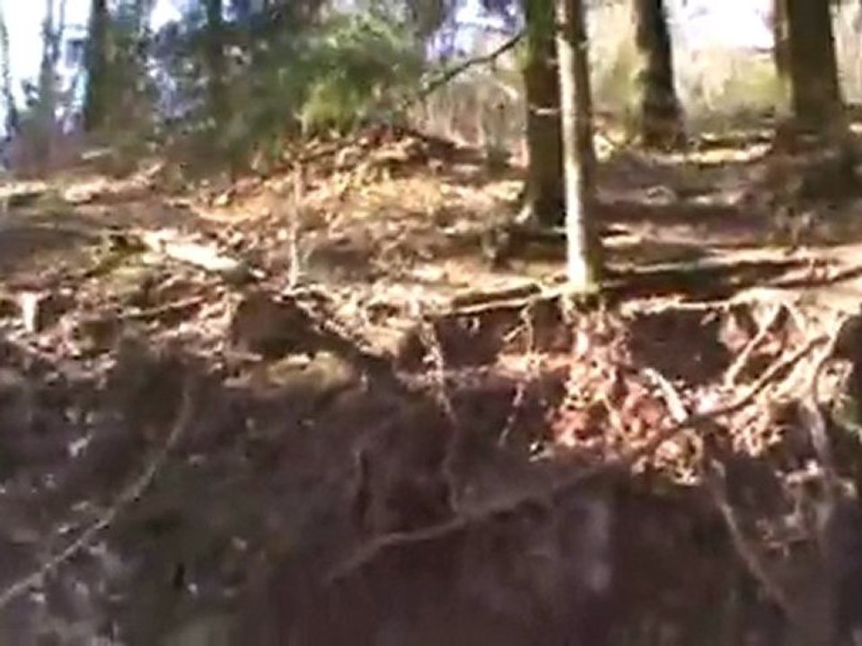 Djeba ST_mars_2011