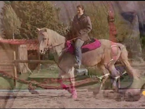 Julie plas video - pole bending barrel racing