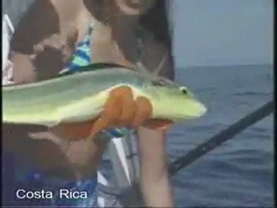 Travel Community Sites, Best Travel Blogs, Travel Social Network