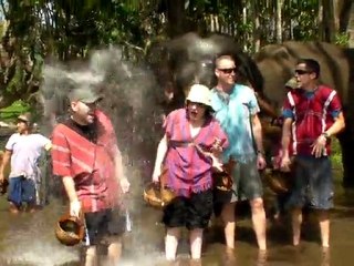 Arrosage des mahout - Patara Elephant Farm