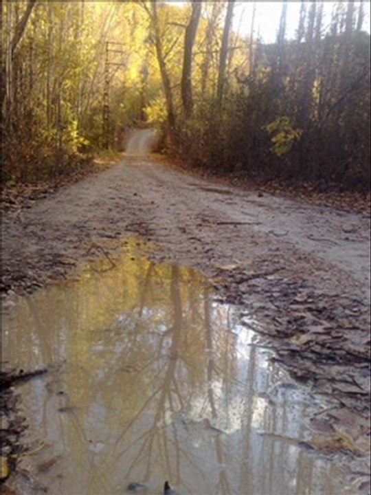 EDİP AKBAYRAM ŞAHDAMAR