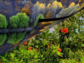 Zeki Müren - Ölürsem Yaziktir Sana Kanmadan