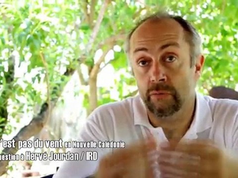 C'est pas du vent - Biodiversité terrestre en Nouvelle-Calédonie