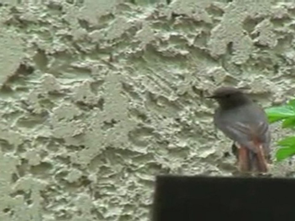 QueueRouge20110403