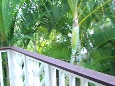 810 F North Kalaheo Ave. Kailua HI