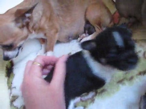 mes bébés 29 jours