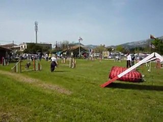 Sunny - GPF Le Pradet 03.04.11