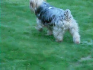 SAM_2664