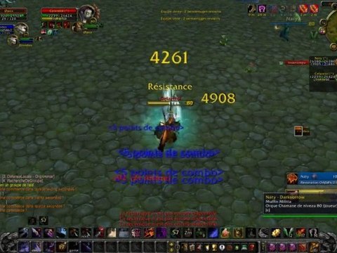 WoW - WOTLK - 2c2 voleur/druide