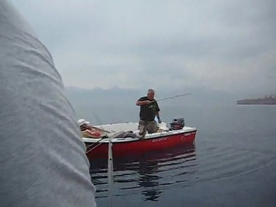 ayiboğan ve apaçi dansı