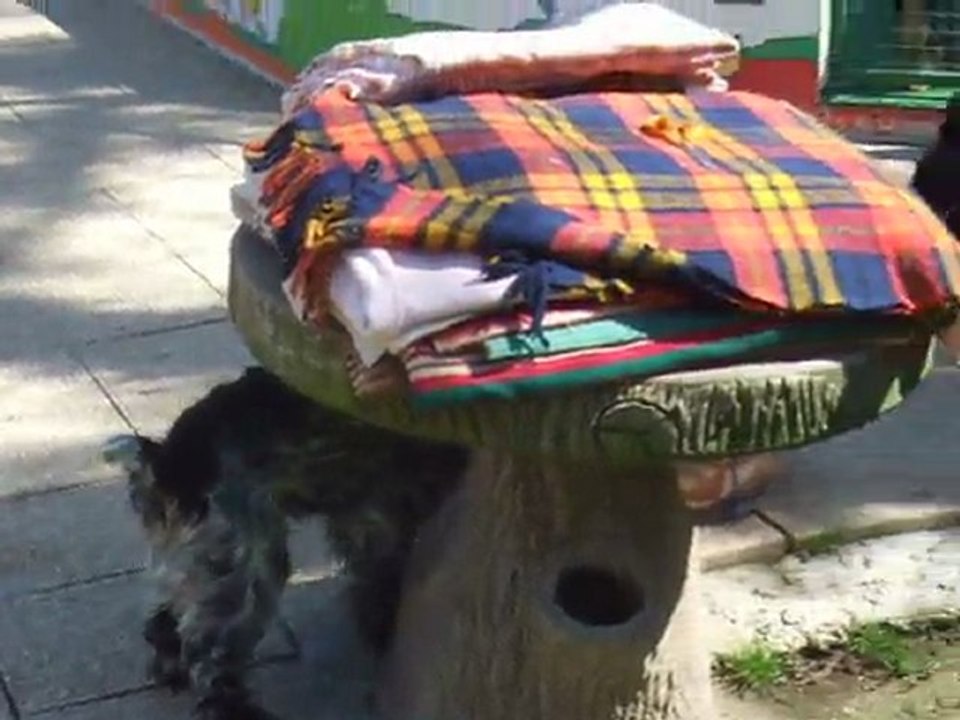 Cyrrus et Fidelio à la SPA le 05 avril 2011