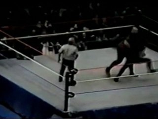 Undertaker Vs Bam Bam Bigelow