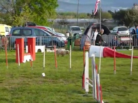 Taz - Open+ Le Pradet 03.04.11