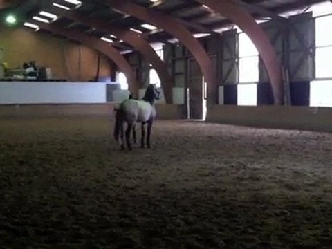 Raja - 13032011 - 1er jour