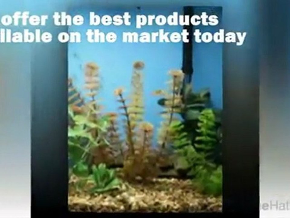 Sealife Centra - aquarium London Ontario [www.keepvid.com]