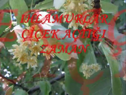 Ibrahim Sadri - Ihlamurlar Cicek Astigi Zaman