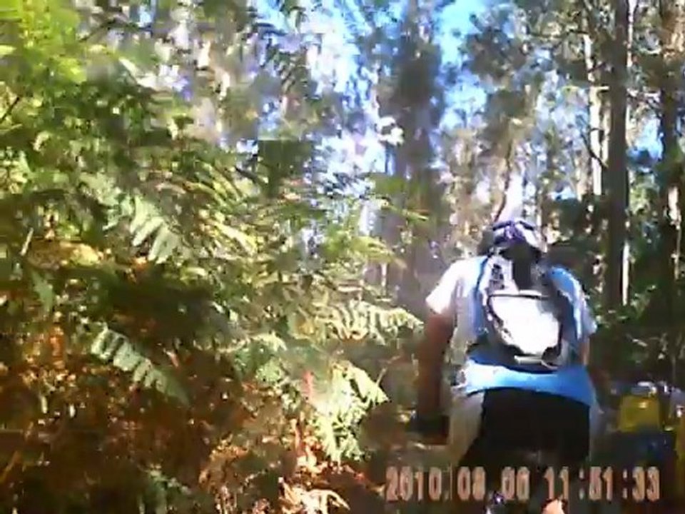 Bajada MTB corredoira Vía Plata cerca de Puente Ulla con grupo de peregrinos