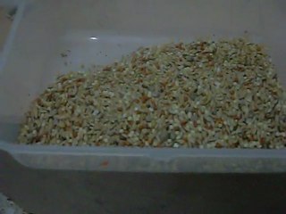 Yem ayıklama makinası