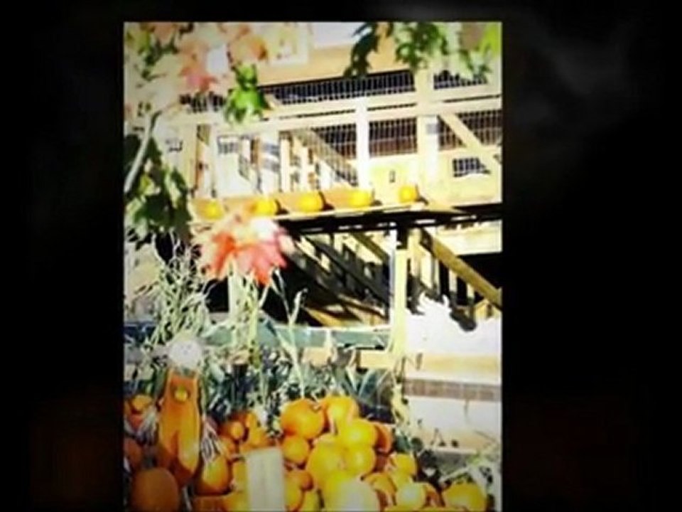 best abbotsford farm