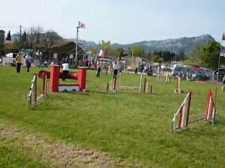 Domino - Jumping Le Pradet 03.04.11