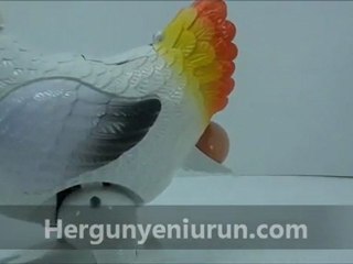 Müzikli ve Işıklı Yumurtlayan Tavuk 12.99 TL +3.5 TL Kargo (Kdv Dahil)