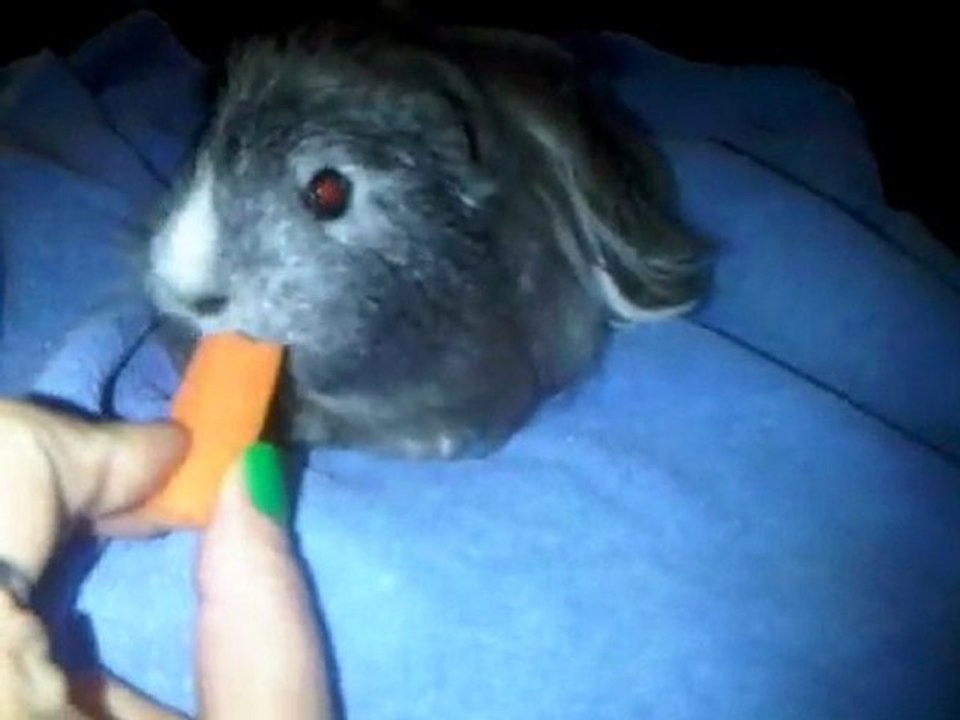 VID 00044-20110406-0208