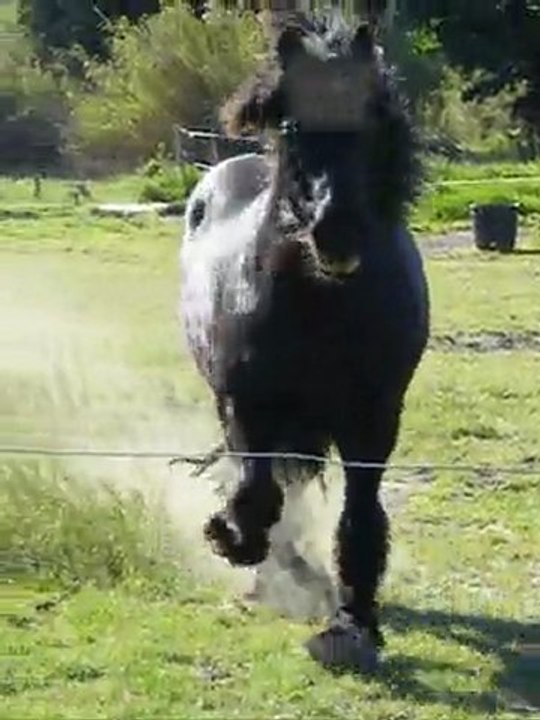 5 AVRIL 2011