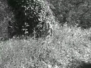 saraswati (minimal remix)