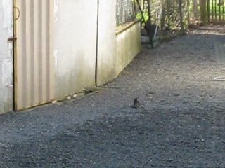 Divergences d'opinions et conflits territoriaux