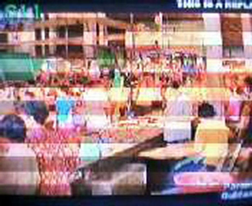 WILDLIFE FOR SALE (3)