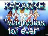 karaoke  - Magnolias for ever - claude François