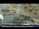 Japan plugs leak from nuclear plant