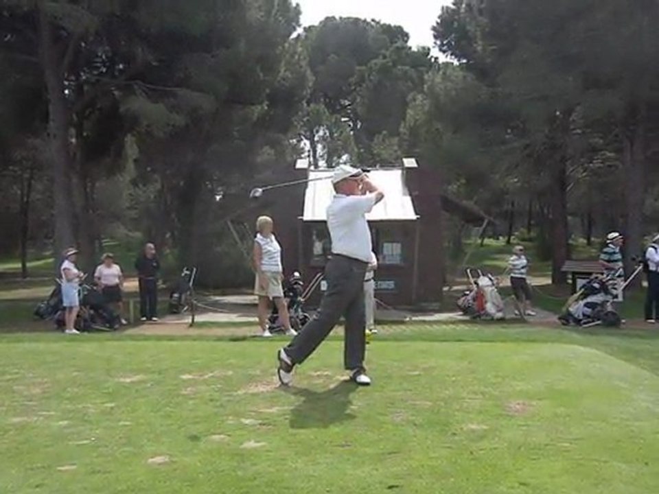 SWING JOEL
