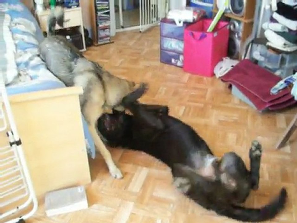 Même dans l'appart!!