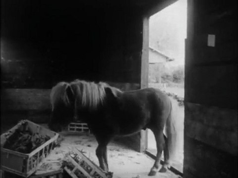 Les Vacances De Poly (Poly.Part.En.Voyage.) ep1