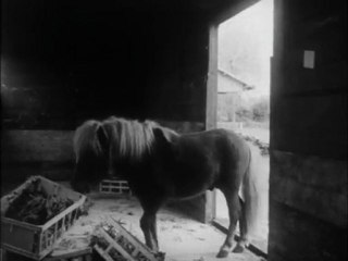 Les Vacances De Poly (Poly.Part.En.Voyage.) ep1