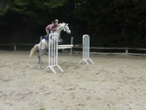 Oracle des Genêts (Co)